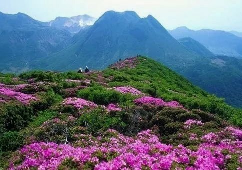 海鸥花呗平台：信用消费的双刃剑