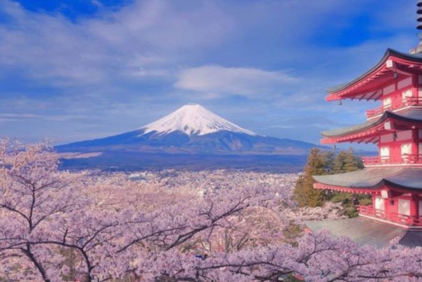 鹿优选账号注销：安全隐私的数字减法