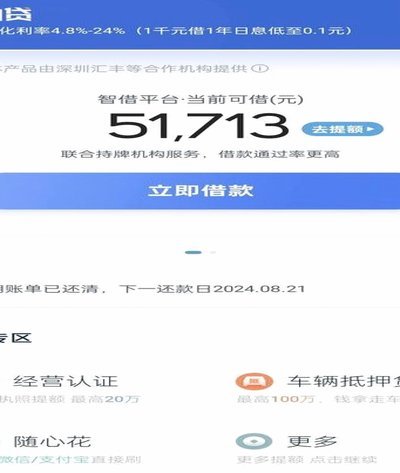 拍拍贷借款用途与现金还款技巧