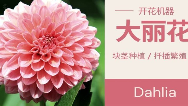 轻松套花被，打造舒适睡眠环境