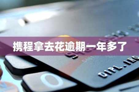 携程拿去花，现金怎么用？
