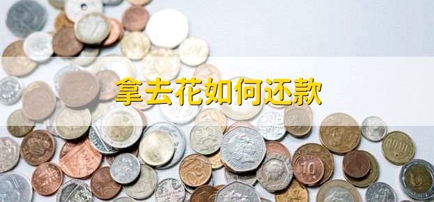 携程旅行拿去花提现