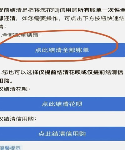 怎样套取花呗的钱