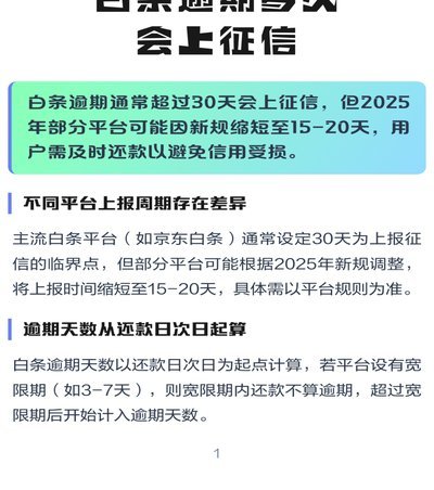 白条现在上征信了吗
