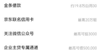 能使用白条的平台
