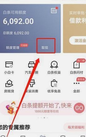 能使用白条的平台