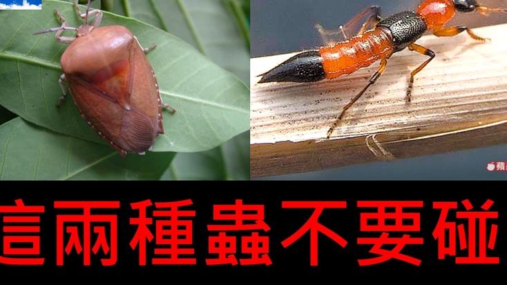 便荔卡提现套现方法解析