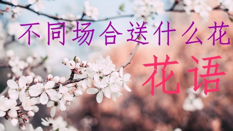 替人套现花呗，你的账户和信用会面临哪些风险？