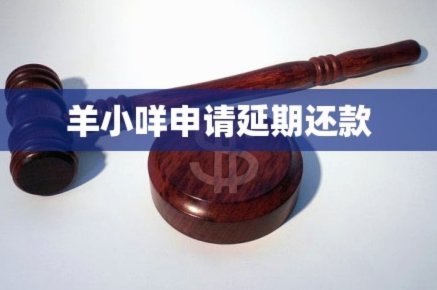 羊小咩还款失败别慌，这样应对更有效
