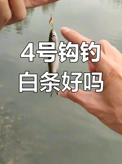 白条钓鱼技巧揭秘