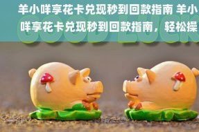 羊小咩享花卡额度兑现商家秒到秒回款推荐三种方法