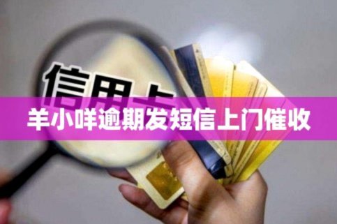 羊小咩享花卡额度兑现商家秒到秒回款推荐三种方法