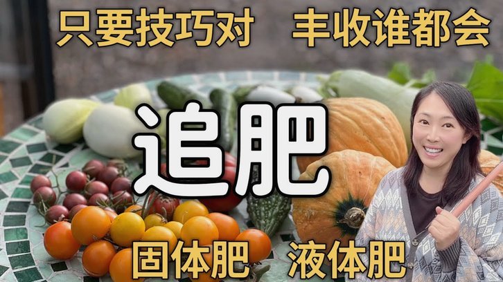 套现花呗平台有哪些 出资方式