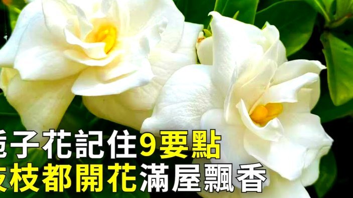 套现花呗平台有哪些 出资方式