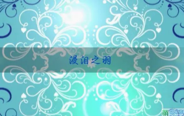 微信分付提现：信任网络下的风险暗涌