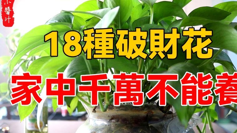 携程拿去花如何套现