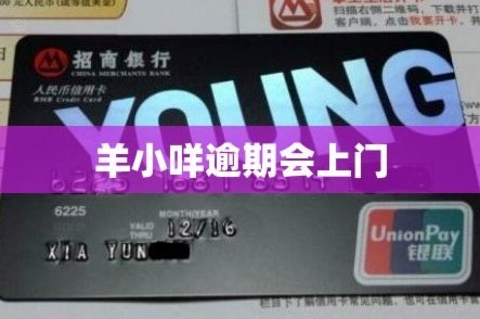 羊小咩延期还能申请多久？