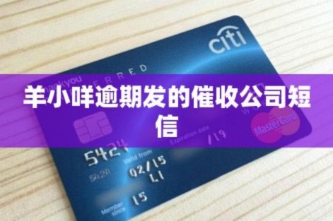 羊小咩现在申请延期还能申请多久