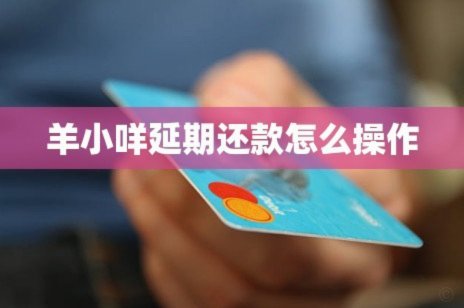 羊小咩现在申请延期还能申请多久