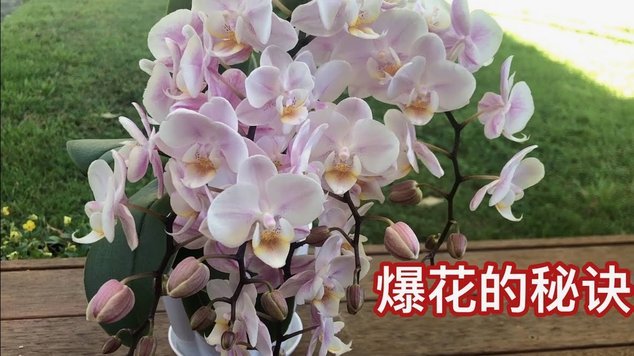 如何巧妙利用花呗提升生活品质与财富