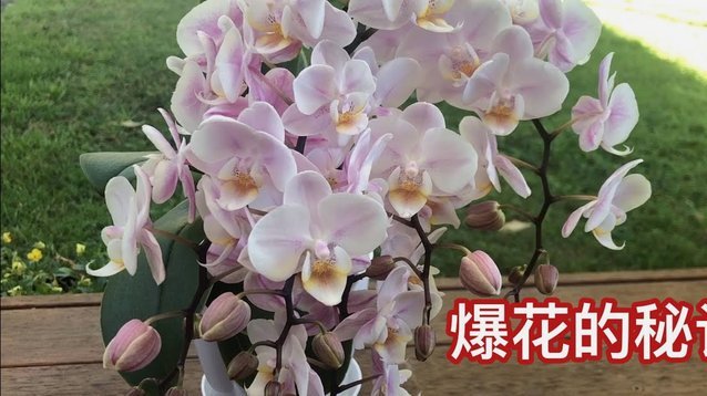 花呗分期套现风险警示