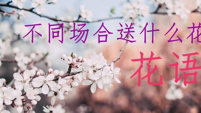 拿去花取现能分期付款吗？