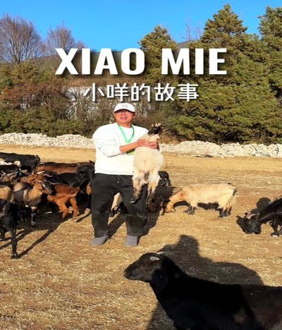 羊小咩怎么取