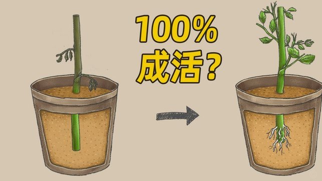 携程拿去花提现方法