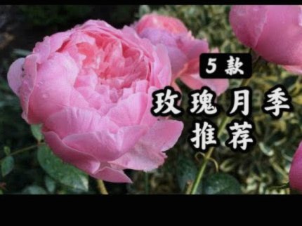 花呗怎么提升的额度