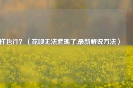巧用花呗提升额度技巧揭秘