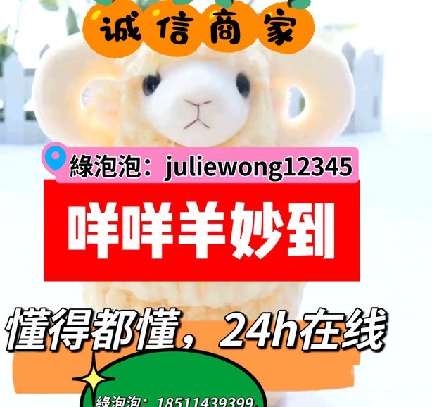 羊小咩300：品质羊肉的健康新选择