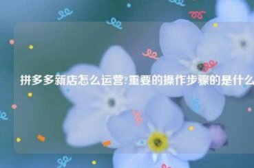 多多提：不只是公司那么简单