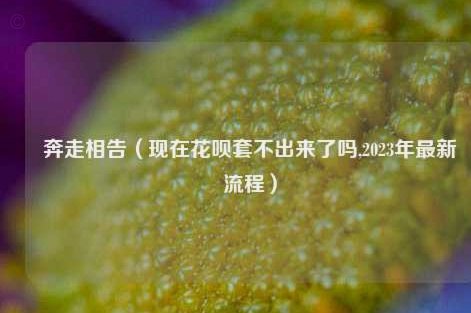 花呗怎么套现？正规渠道不支持