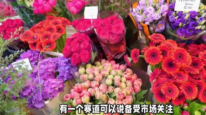 拿去花的维护：三重压力下的动态博弈