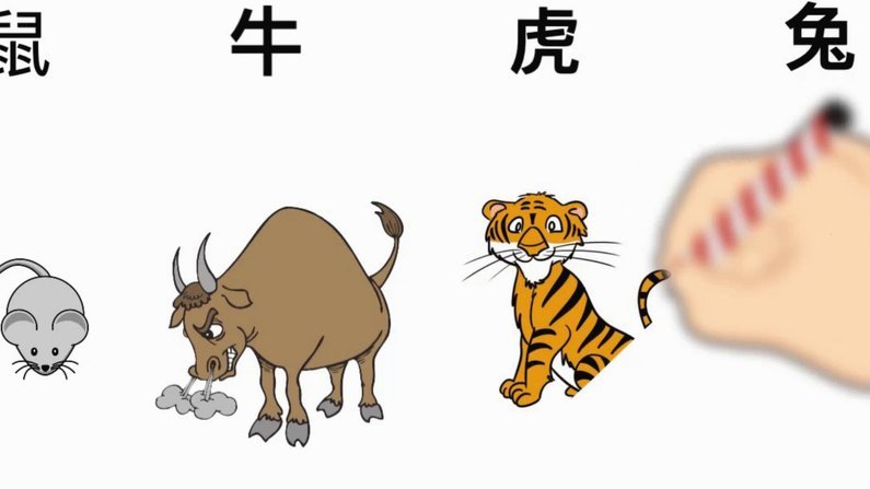 鹿优选额度怎么提现？支付宝微信绑定与限额规则详解