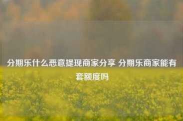 分期乐额度取现商家