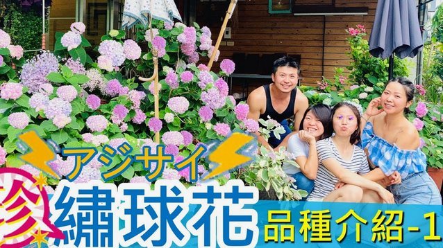 天猫花呗分期还款细节详解