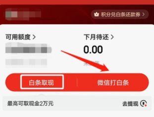 怎么从白条上借钱