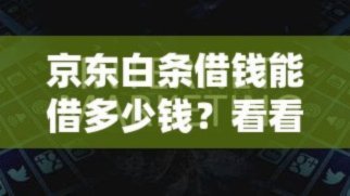 怎么从白条上借钱